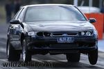 TestNTune-wild2mild-47.jpg