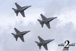 wild2mild-airshow-345.jpg