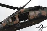 wild2mild-airshow-386.jpg