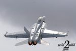 wild2mild-airshow-440.jpg