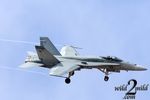 wild2mild-airshow-574.jpg